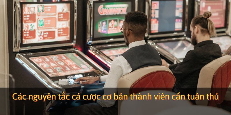 Các nguyên tắc cá cược cơ bản thành viên cần tuân thủ
