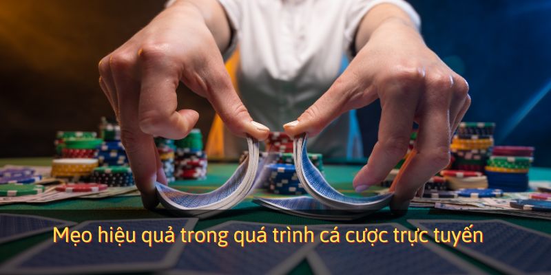 Mẹo hiệu quả trong quá trình cá cược trực tuyến