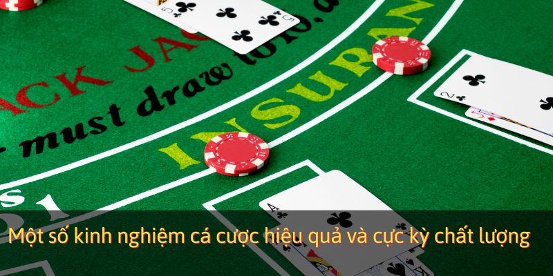 Một số kinh nghiệm cá cược hiệu quả và cực kỳ chất lượng