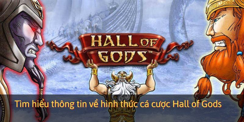 Tìm hiểu thông tin về hình thức cá cược Hall of Gods