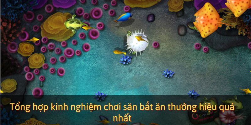 Tổng hợp kinh nghiệm chơi săn bắt ăn thưởng hiệu quả nhất