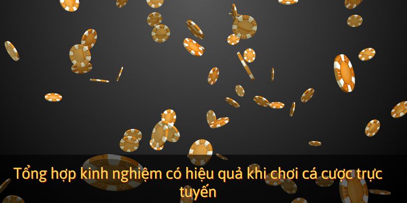 Tổng hợp kinh nghiệm có hiệu quả khi chơi cá cược trực tuyến