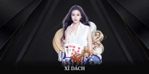 Xì dách